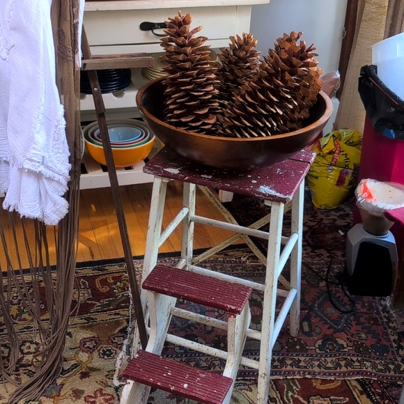 💥SOLD OUT💥Huge Authentic Sugar Pinecones 13to14inches Long - Picture 2 of 11